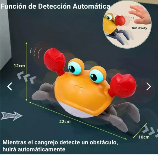 CANGREJO CAMINADOR MONTESSORI USB